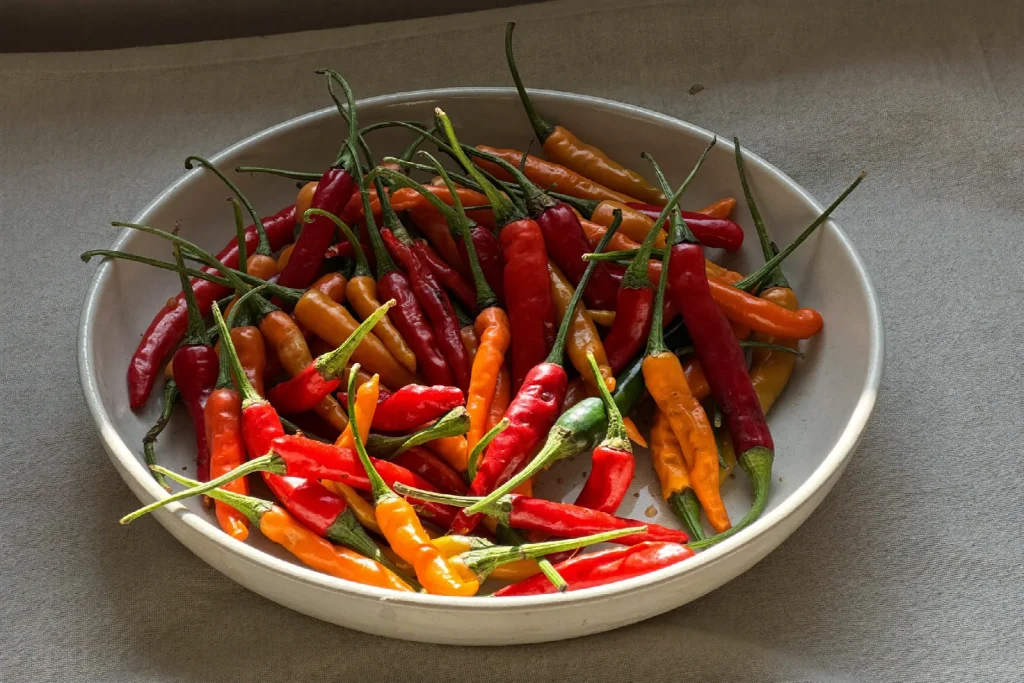 Bowl filled with freshly picked hot peppers