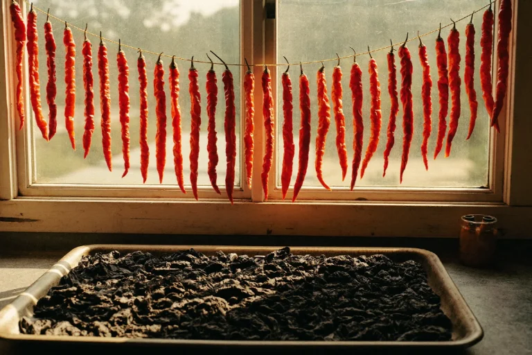 Strings of red chilies drying across a sunny window above a tray of dried pods